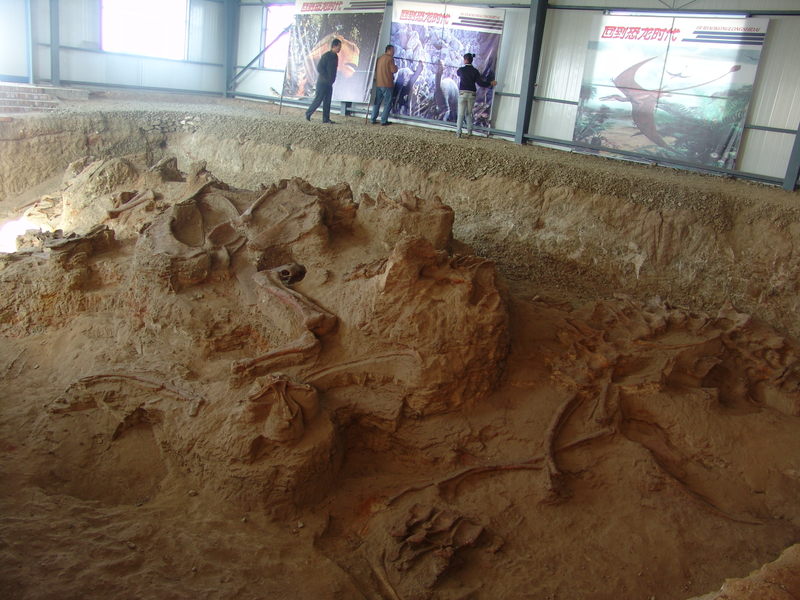 Lingwulong fossils are shown partially exposed here in one of the four Chinese dig sites.